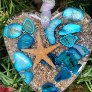 CRUSHED SHELL ORNAMENT