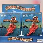 Grow a Lobster Toy
