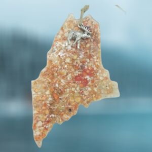 Lobster Maine State Sea Shells Ornament