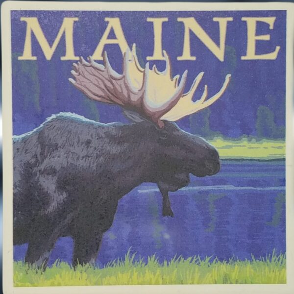 Maine Moose Maine Coaster Maine Moose Maine Coaster