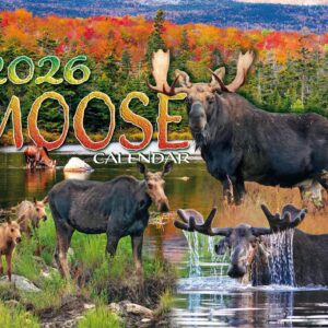 Moose 2026 Calendar