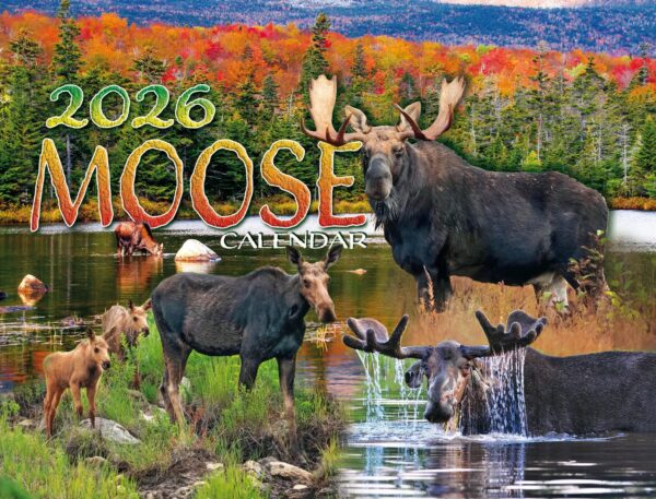 Moose 2026 Calendar