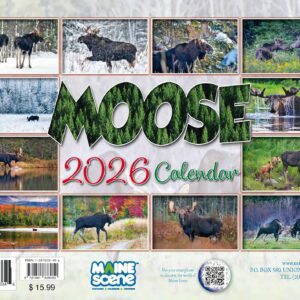 Moose 2026 Calendar Images