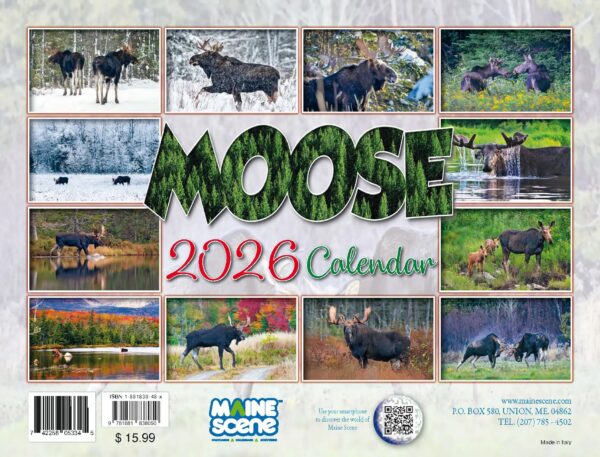 Moose 2026 Calendar Images